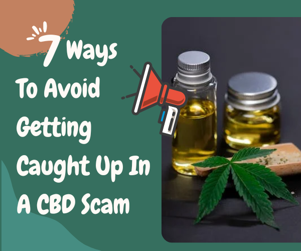 How To Avoid Falling Into Scam While Purchasing CBD Products Online