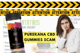CBD Gummies with THC: 2026 Guide for Pain and Sleep Support