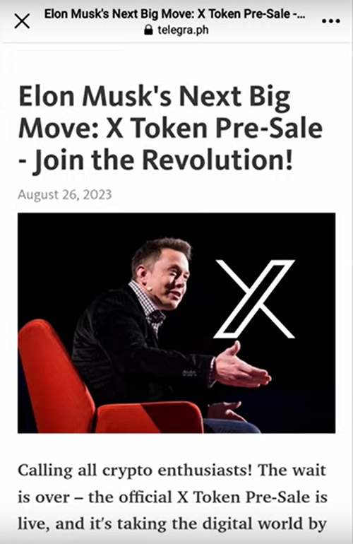 X Token Elon Musk Scam website
