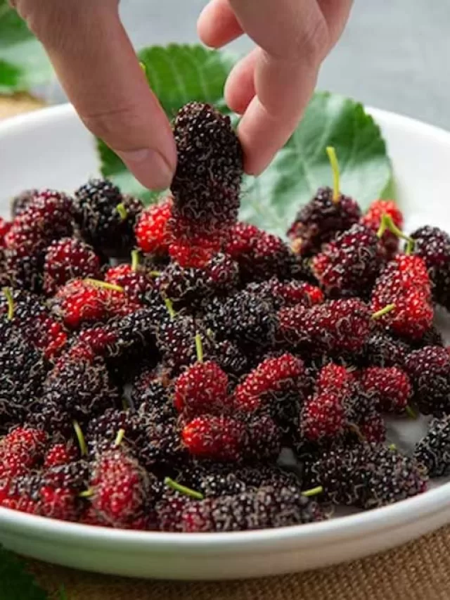 Benefits of Mulberry for Skin, Hair & Health